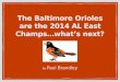 Paul Brandley | Baltimore Orioles 2014 AL East Champs....What's Next?