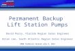 Permanent Backup Lift Station Pumps