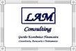 LAM Consulting