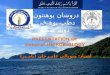 microbiology ppt in pashto by pameer