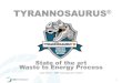 Jouni Valovuo 17.5.2013: Tyrannosaurus - State of the art Waste to Energy Process