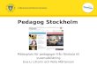Pedagog Stockholm webinar 17 feb 2011