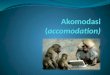 Akomodasi (accomodation)