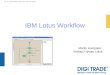 IBM Lotus Workflow