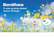 Le BioMéthane, energie renouvelable d'avenir en France