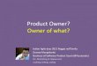 Product Owner? Owner of What?