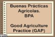 Buenas prácticas agrícolas