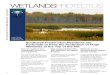 Brochure -  Wetlands Protect Our Residents (April 02, 2011)
