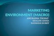 Marketing environment(macro)