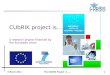 The CUbRIK project official presentation