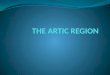 The artic region