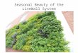 Grand Rapids Downtown Market Living Wall by LiveWall