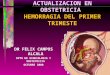 Hemorragia Del Primer Trimestre Oct2008 (Pp Tminimizer)