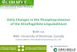 Daily changes in the phosphoproteome of the dinoflagellate Lingulodinium
