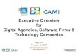 Gami   offshorent - executive overview
