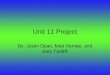 Unit 11 project
