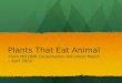 MN DNR "Plants That Eat Animals"