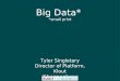 Big data; small print