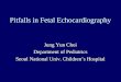 Pitfalls in Fetal Echocardiography Jung Yun Choi