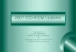 2007 ICD-9-CM Updates