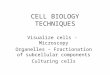 Cell biology techniques