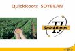 2010 soybean  tj technologies