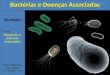 Bactérias e doenças associadas
