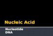 Macro mols   nucleic acids