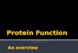 Introduction to proteins