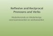 Reflexive and Reciprocal pronouns