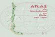 Atlas de la mortalidad región por región de la Universidad de Talca