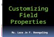 Customizing Field Properties Part1