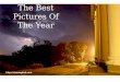 Best Pictures Of The Year 1196405949343956 3