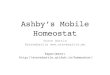 Ashby's Mobile homeostat