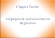 Employment and Government Regulation