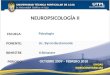 Neuropsicologia  II  2 Bimestre