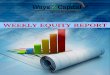Equity report by Ways2Capital 30 june 2014