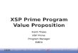 IBM XSP Program