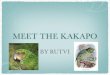 Kakapo Keynote