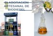 Taller De Ciencias   Nº4(Biodiesel)