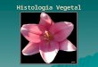 Histologia Vegetal - Renato Paiva