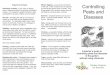 Organic Pests and Diseases Control - Teacher + Student Guide