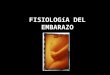 Fisiologia del-embarazo4510