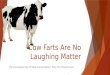 Cow Farts are No Laughing Matter