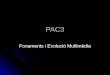 PAC 3  Fonaments i evolució multimèdia