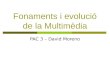 PAC 3 Fonaments i evolució de la multimèdia