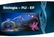 Organelas eucariontes fij_ef