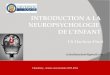Cm1 neuropsychologie 2014 (1)
