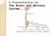 Brain & nervous system