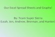 Excel spread sheets and graphs pp